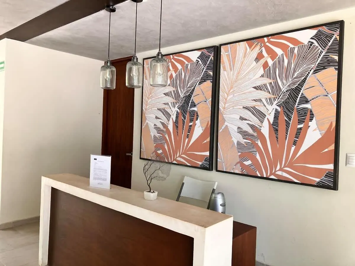 Apartment Tulum Center Family Double Suite Four Guest With Free Parking Pool Ac Kitchenette Near Beach